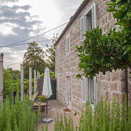 Apartments Maro & Baro Dubrovnik Oda fotoğraf